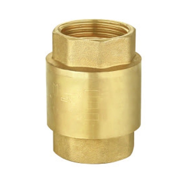 Spätná klapka s plastovou záklopkou 5/4"