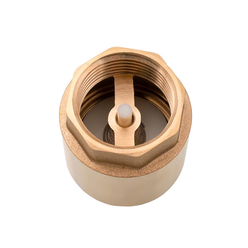 Spätná klapka s plastovou záklopkou 5/4"